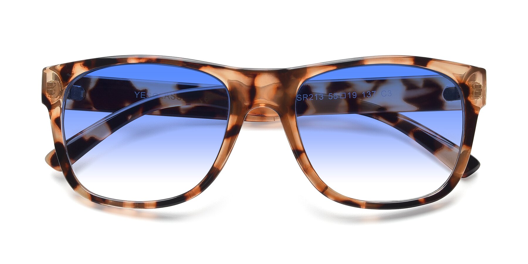 Folded Front of SSR213 in Translucent Tortoise with Blue Gradient Lenses