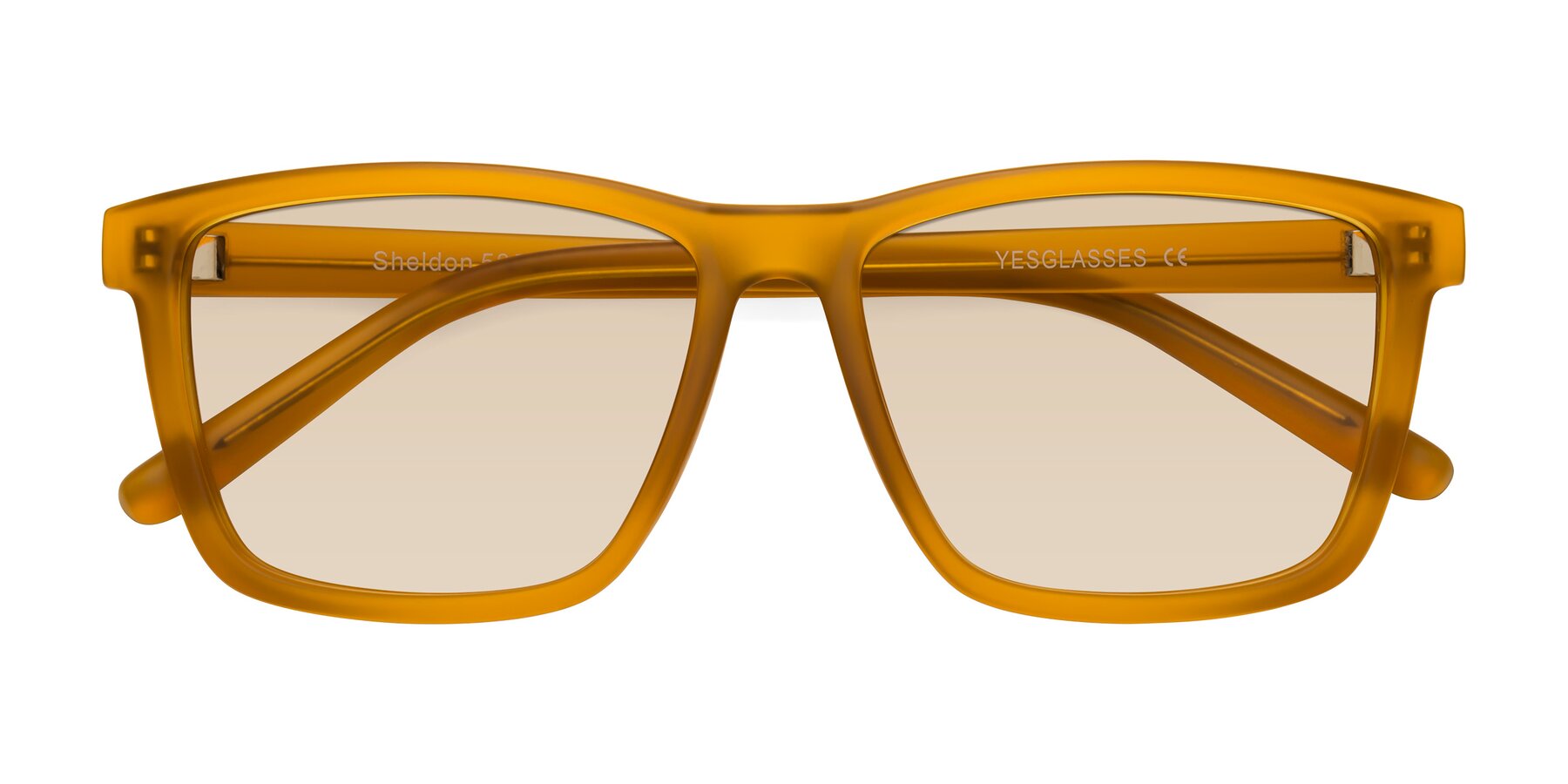 Folded Front of Sheldon in Pumpkin with Light Brown Tinted Lenses