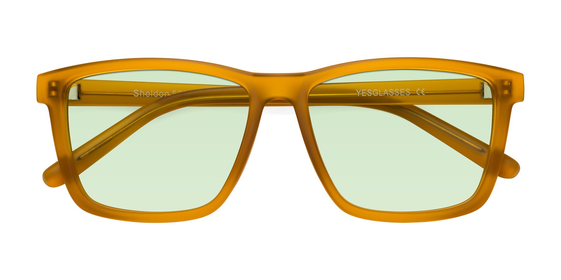 Folded Front of Sheldon in Pumpkin with Light Green Tinted Lenses