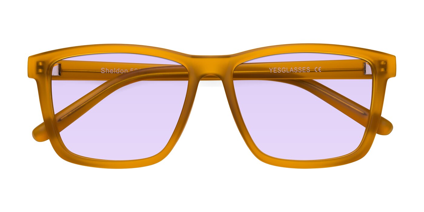 Sheldon - Pumpkin Tinted Sunglasses