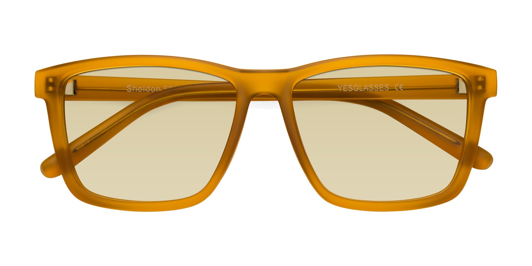 Folded Front of Sheldon in Pumpkin with Light Champagne Tinted Lenses