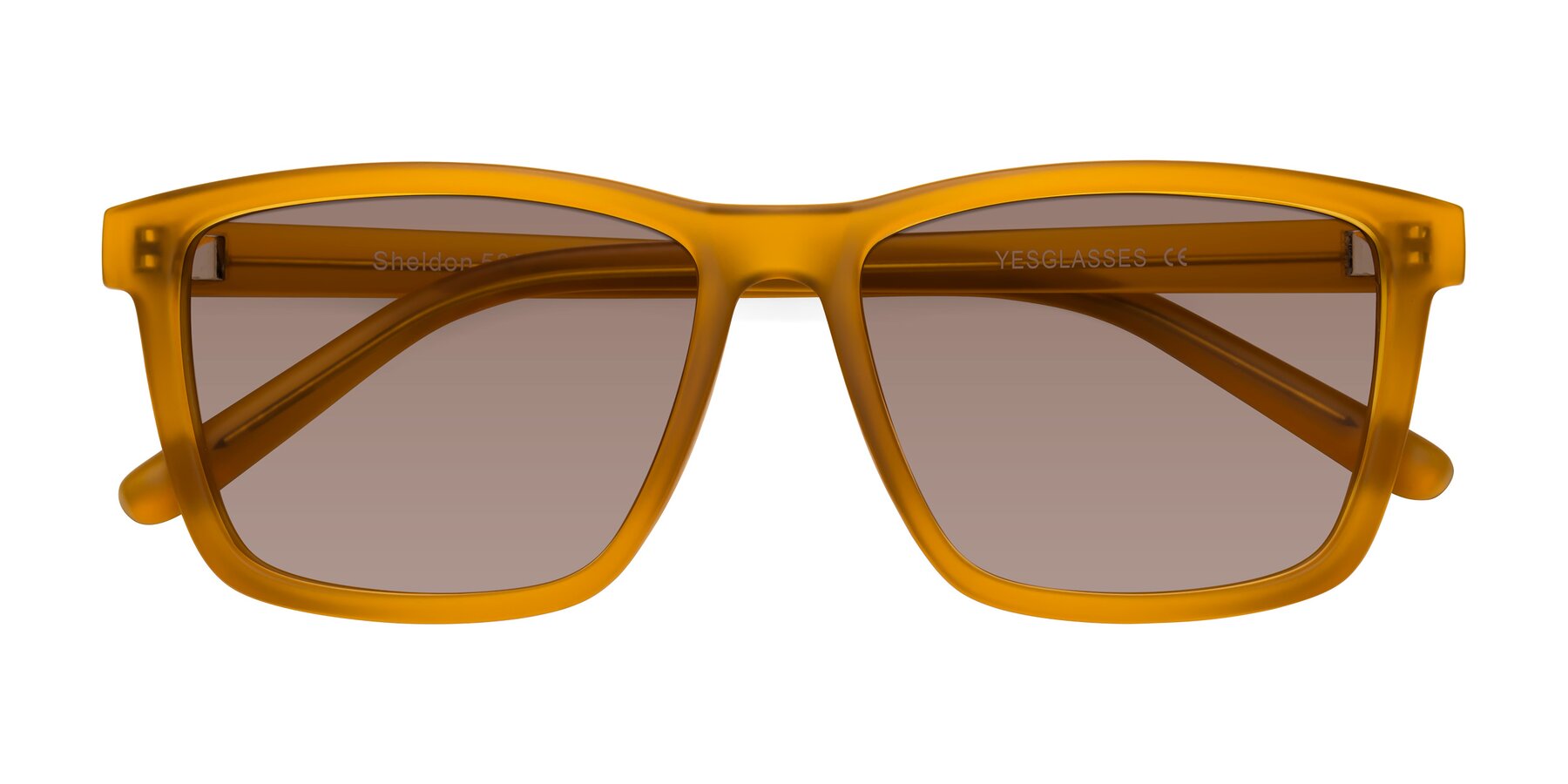 Folded Front of Sheldon in Pumpkin with Medium Brown Tinted Lenses