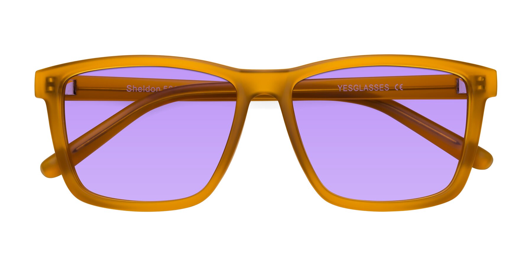 Folded Front of Sheldon in Pumpkin with Medium Purple Tinted Lenses