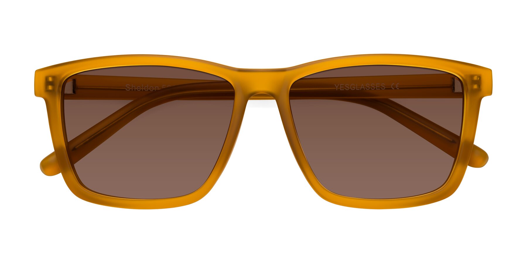 Folded Front of Sheldon in Pumpkin with Brown Tinted Lenses
