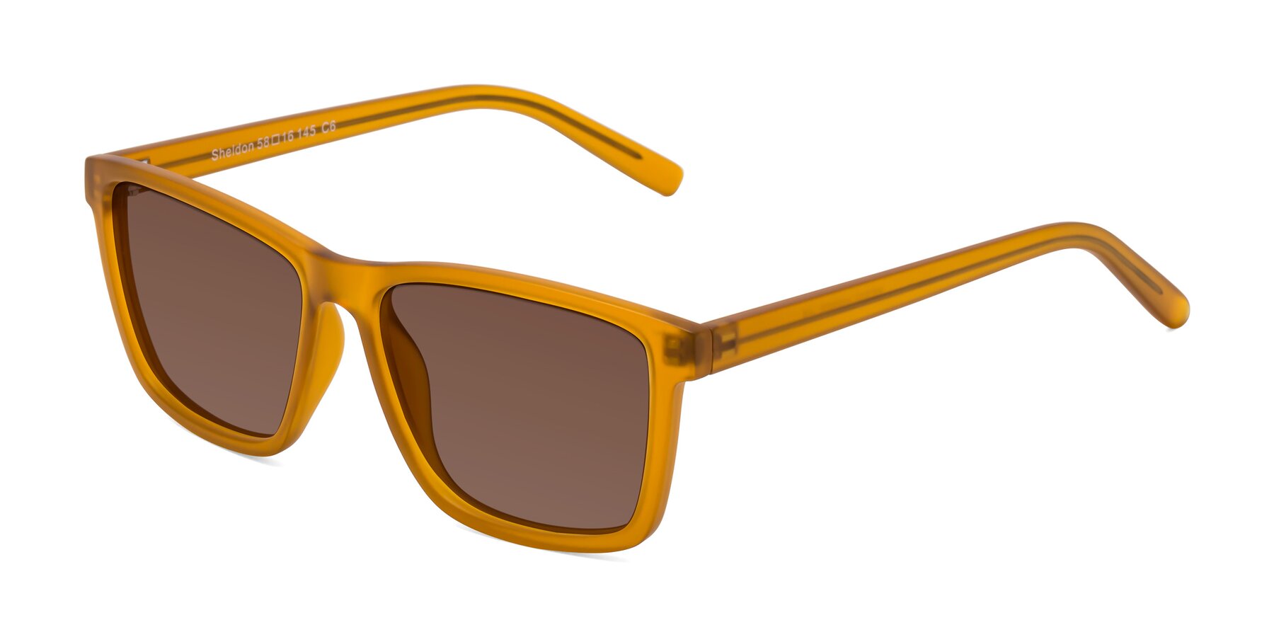 Angle of Sheldon in Pumpkin with Brown Tinted Lenses