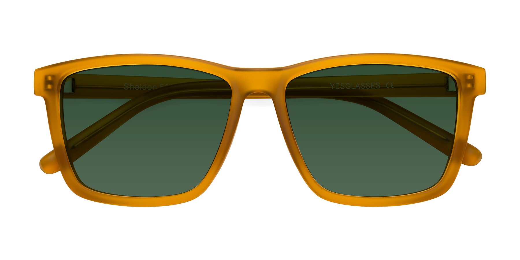 Folded Front of Sheldon in Pumpkin with Green Tinted Lenses