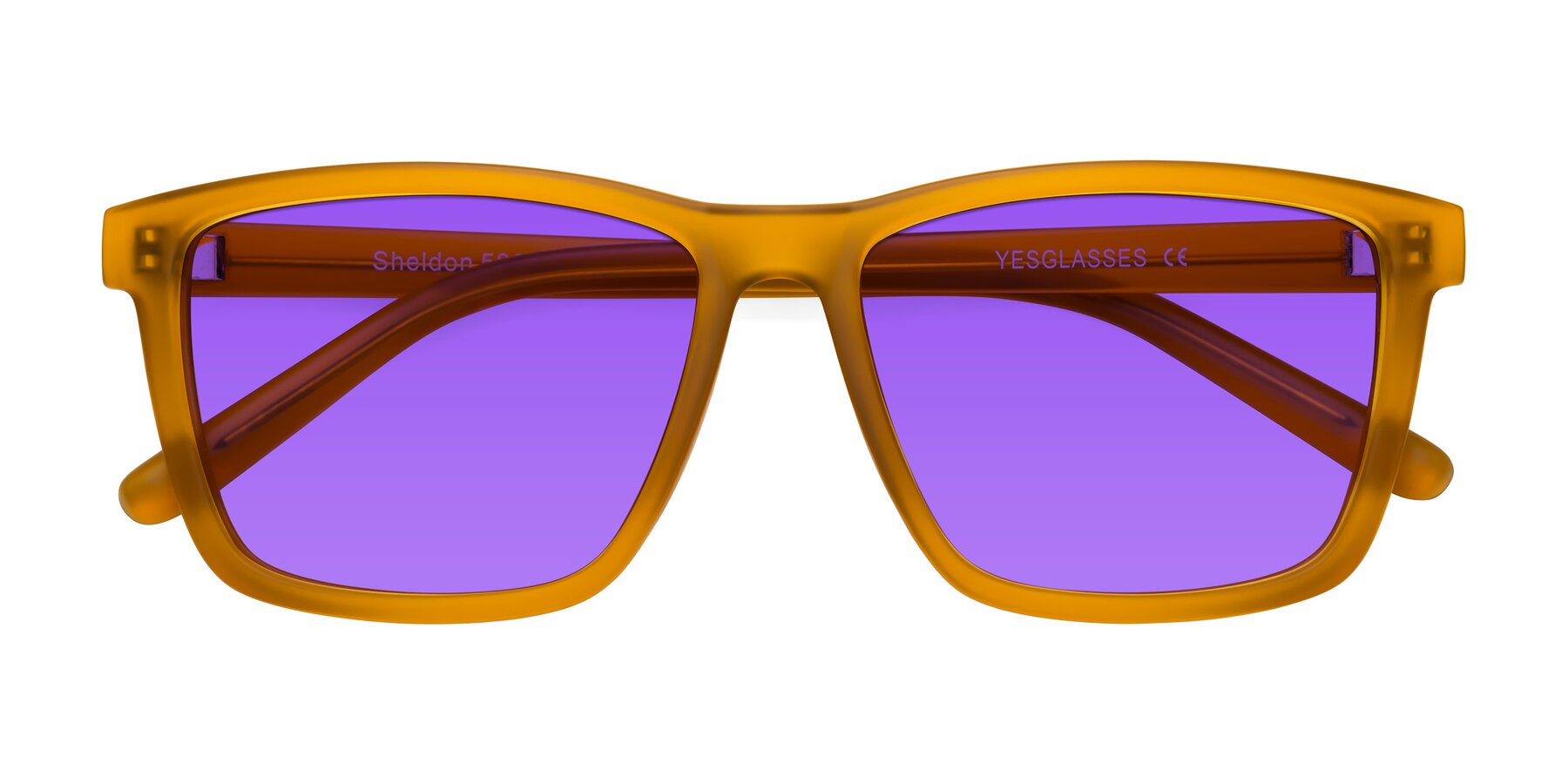 Folded Front of Sheldon in Pumpkin with Purple Tinted Lenses