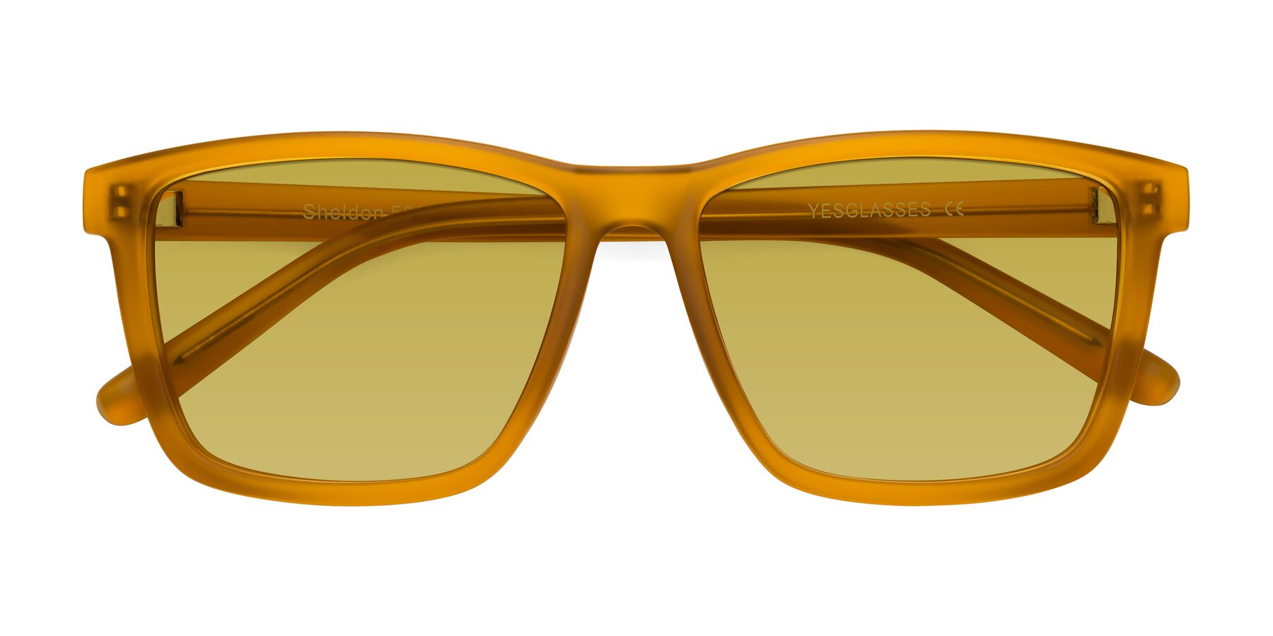 Folded Front of Sheldon in Pumpkin with Champagne Tinted Lenses