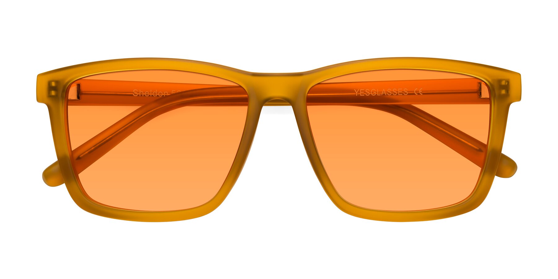 Folded Front of Sheldon in Pumpkin with Orange Tinted Lenses