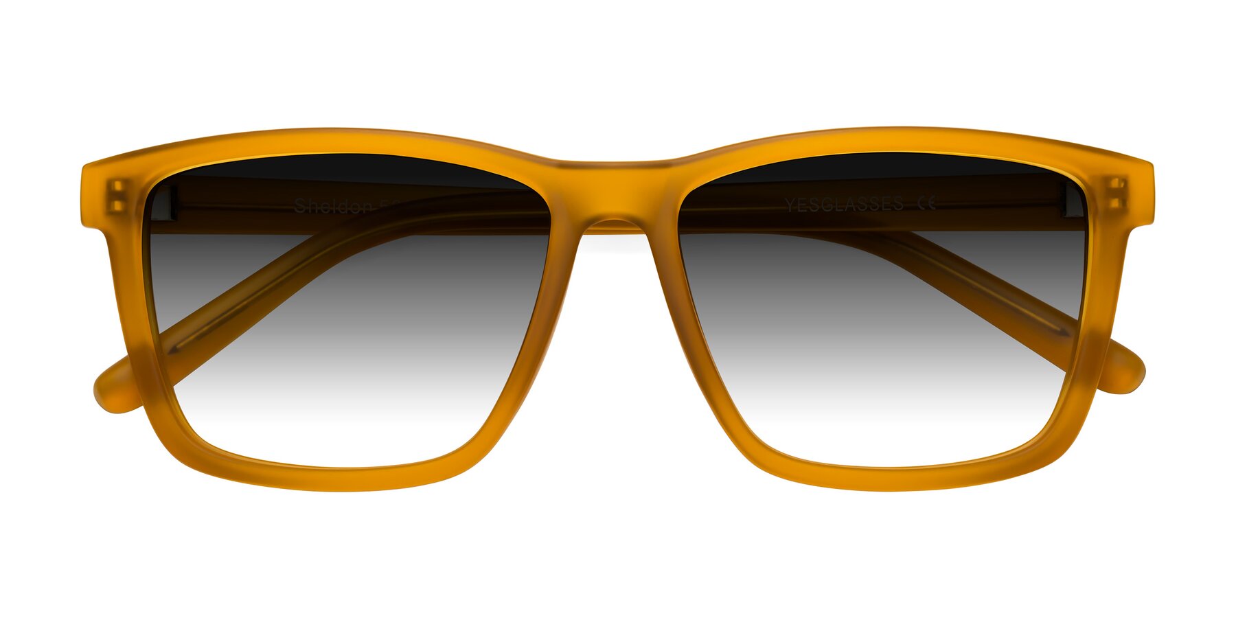 Folded Front of Sheldon in Pumpkin with Gray Gradient Lenses