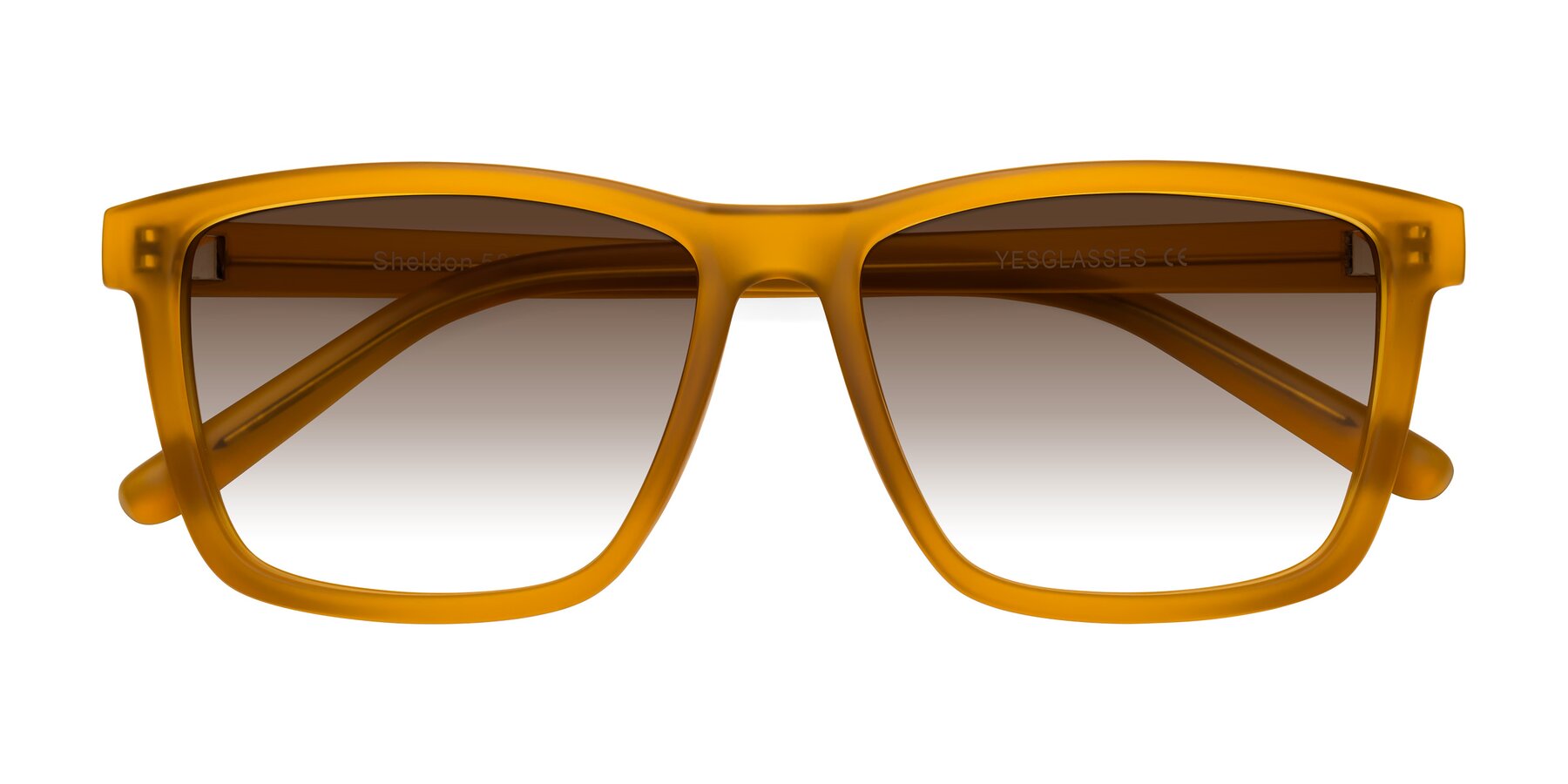 Folded Front of Sheldon in Pumpkin with Brown Gradient Lenses