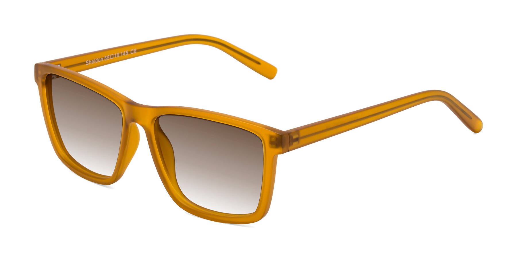 Angle of Sheldon in Pumpkin with Brown Gradient Lenses