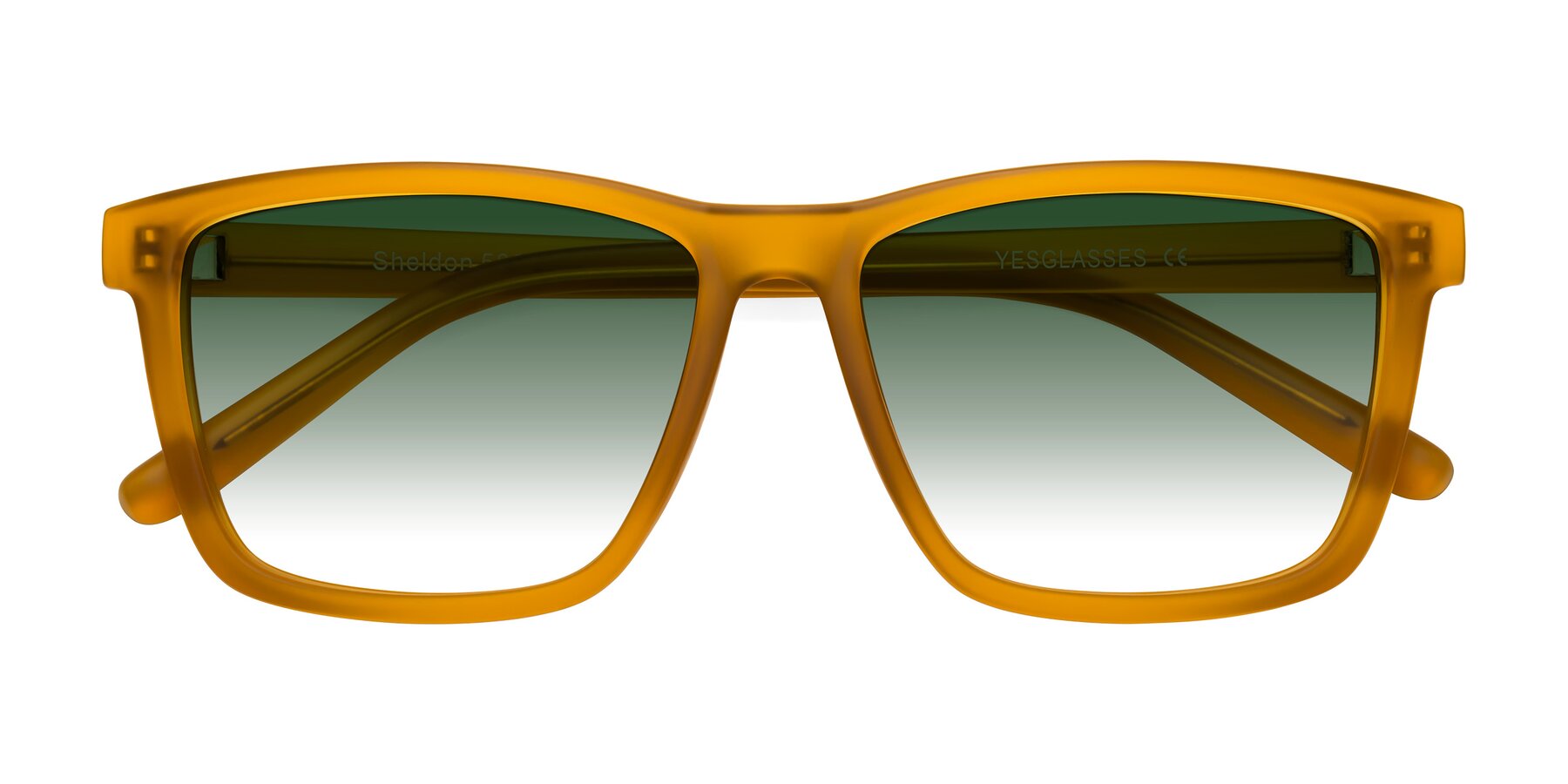 Folded Front of Sheldon in Pumpkin with Green Gradient Lenses