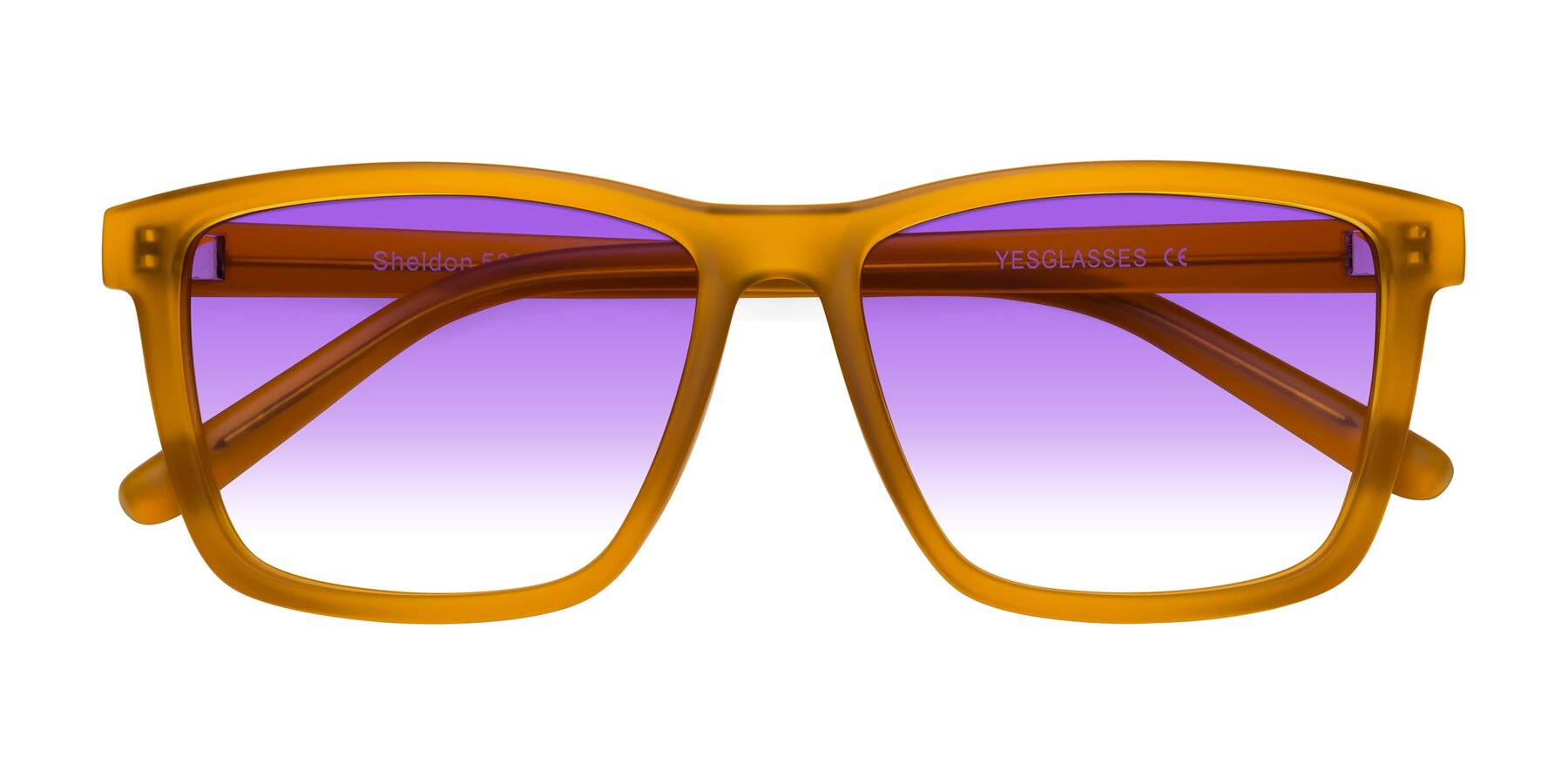 Folded Front of Sheldon in Pumpkin with Purple Gradient Lenses