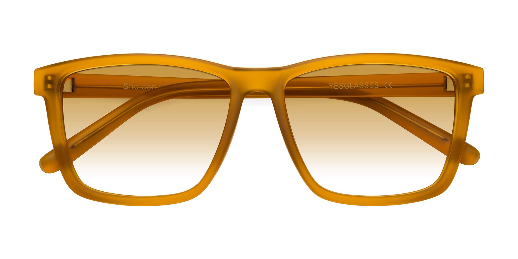 Folded Front of Sheldon in Pumpkin with Champagne Gradient Lenses