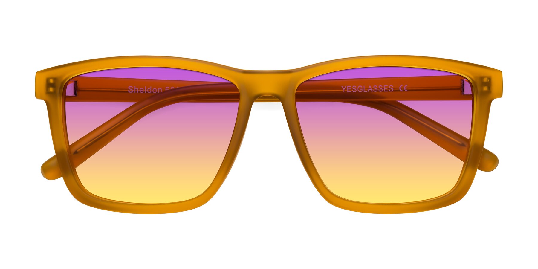 Folded Front of Sheldon in Pumpkin with Purple / Yellow Gradient Lenses