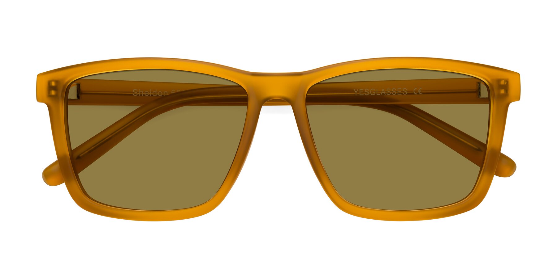Folded Front of Sheldon in Pumpkin with Brown Polarized Lenses