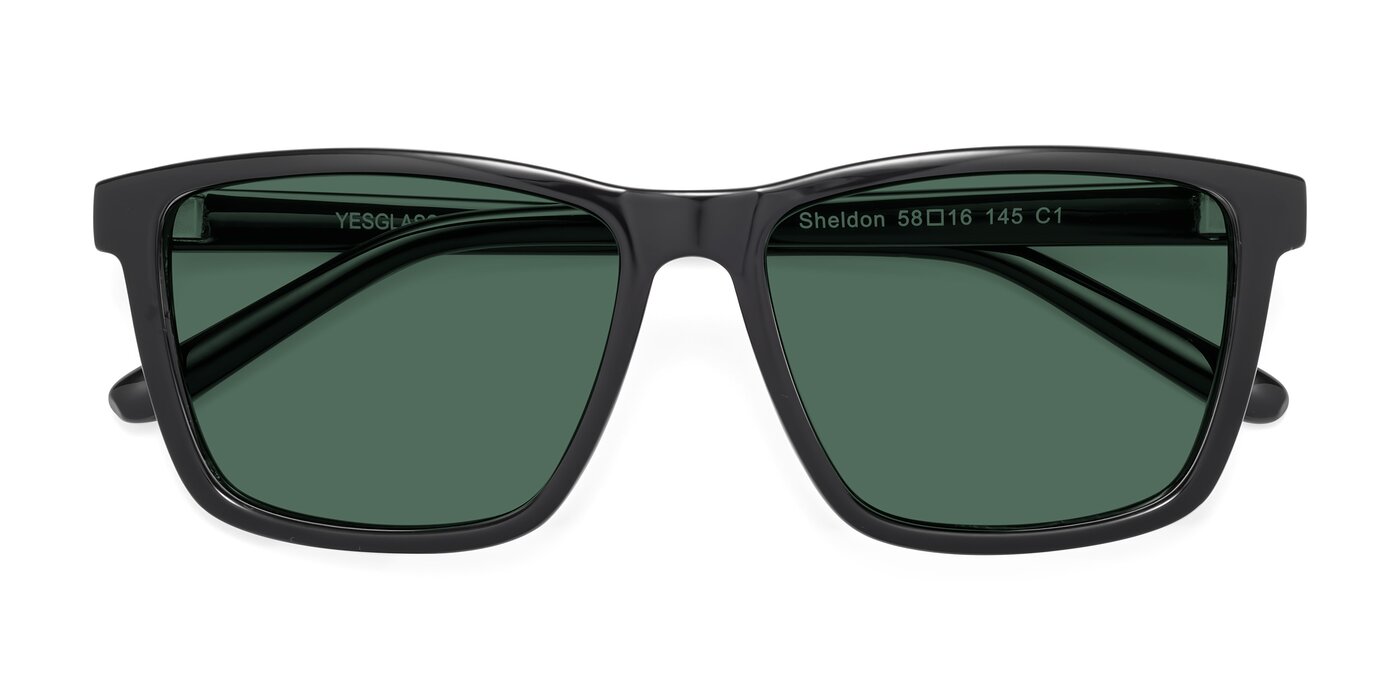 Sheldon - Black Polarized Sunglasses