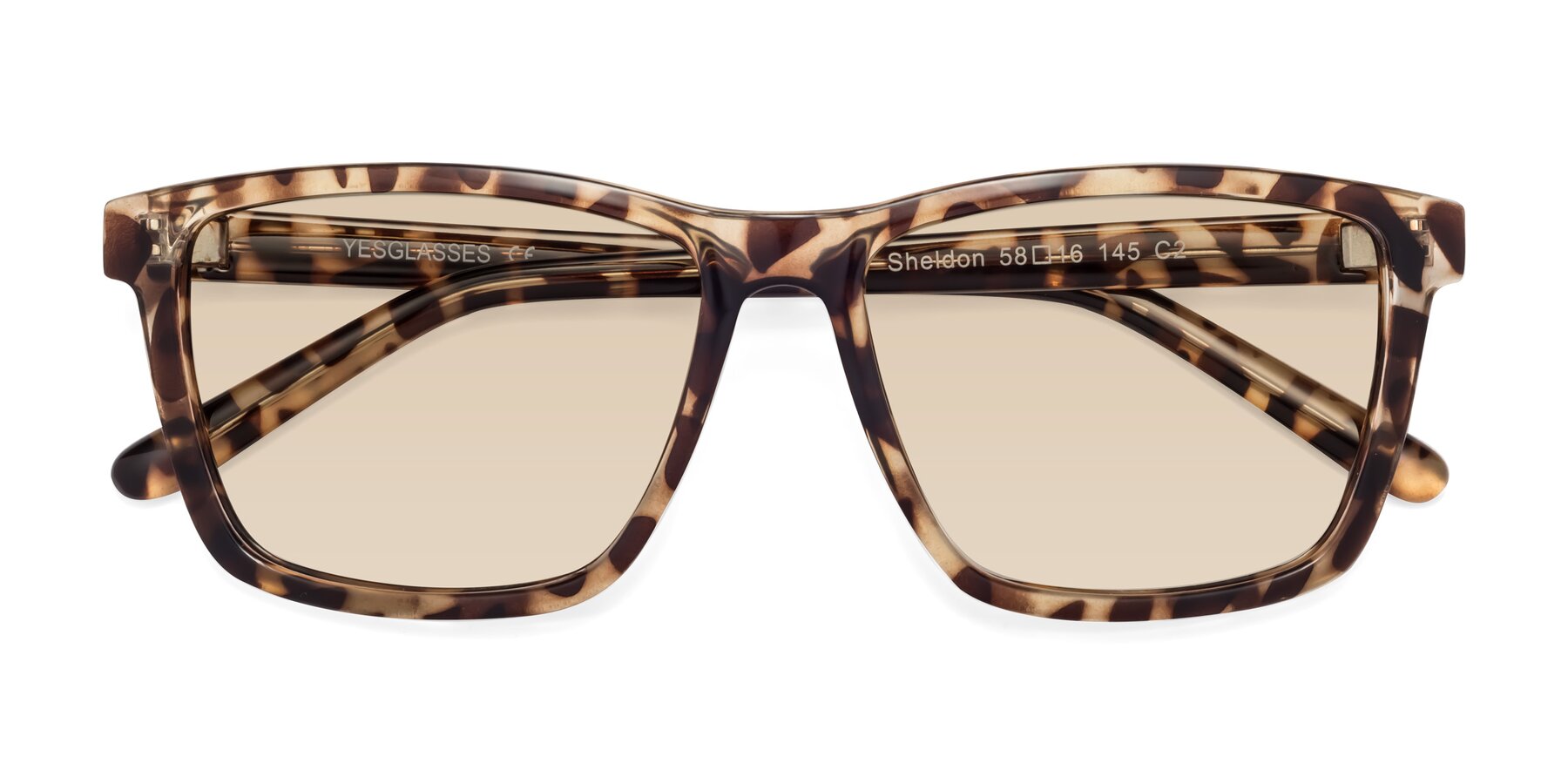 Folded Front of Sheldon in Tortoise with Light Brown Tinted Lenses