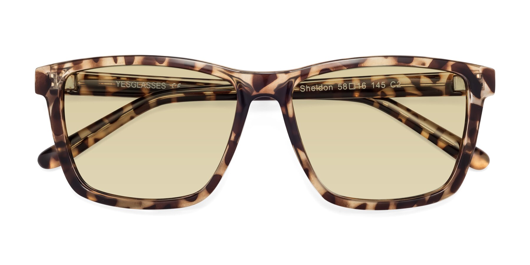 Folded Front of Sheldon in Tortoise with Light Champagne Tinted Lenses