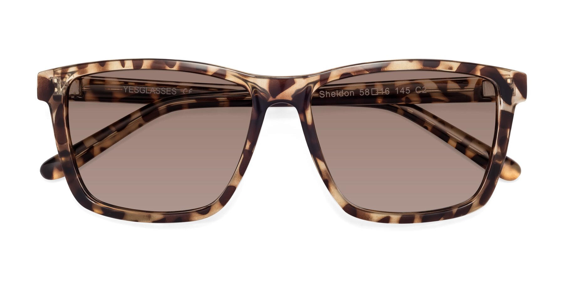 Folded Front of Sheldon in Tortoise with Medium Brown Tinted Lenses