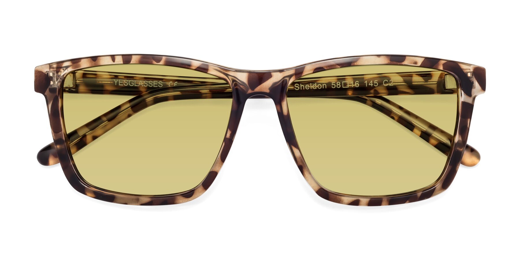 Folded Front of Sheldon in Tortoise with Medium Champagne Tinted Lenses