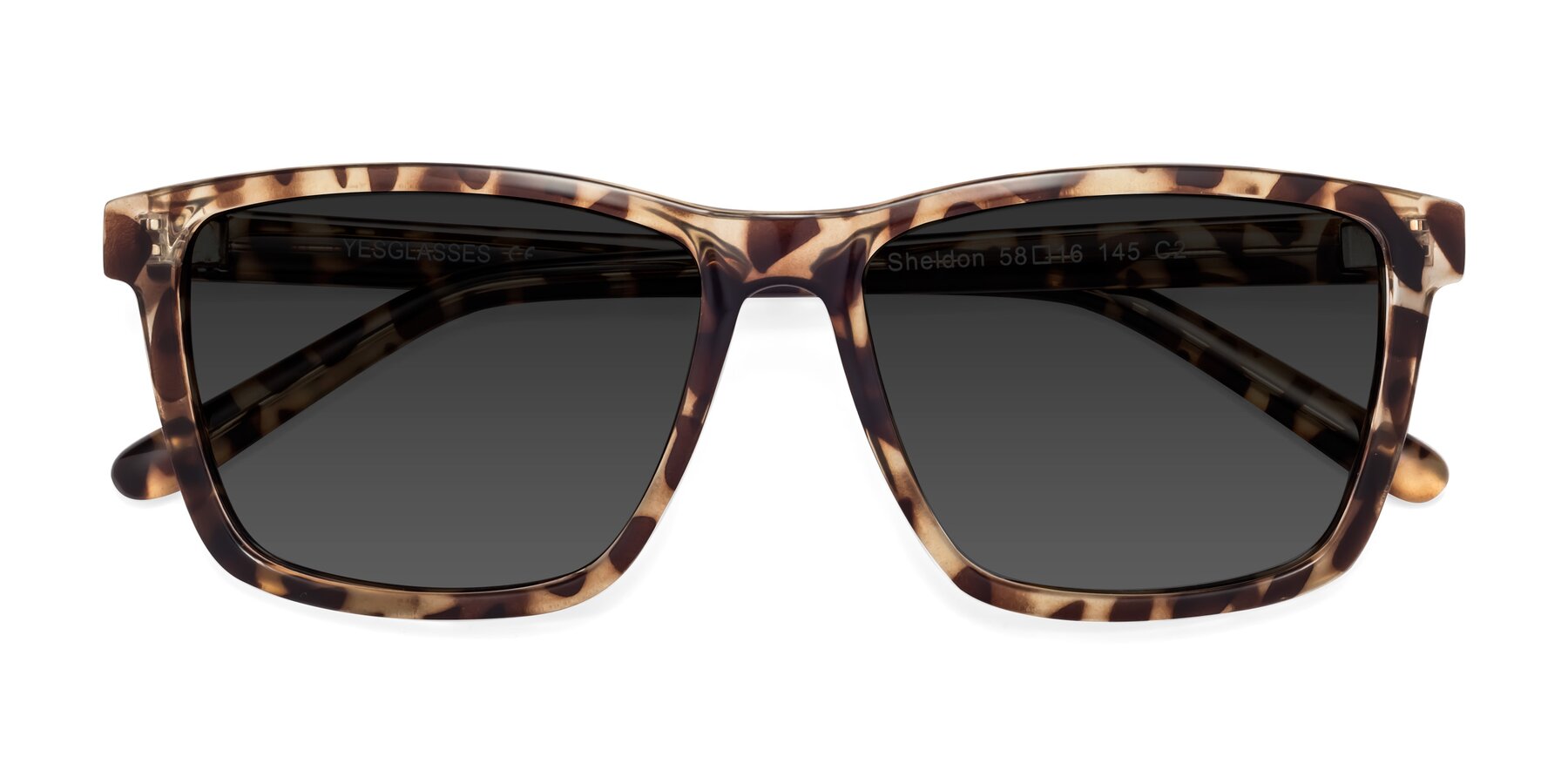 Folded Front of Sheldon in Tortoise with Gray Tinted Lenses