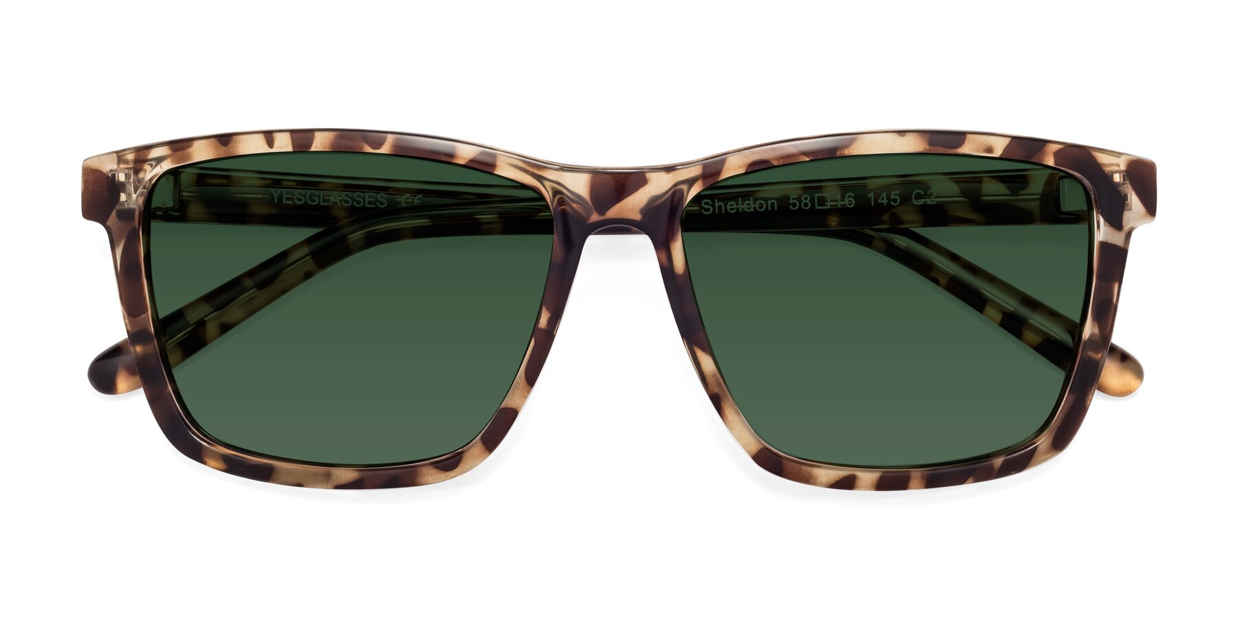 Folded Front of Sheldon in Tortoise with Green Tinted Lenses