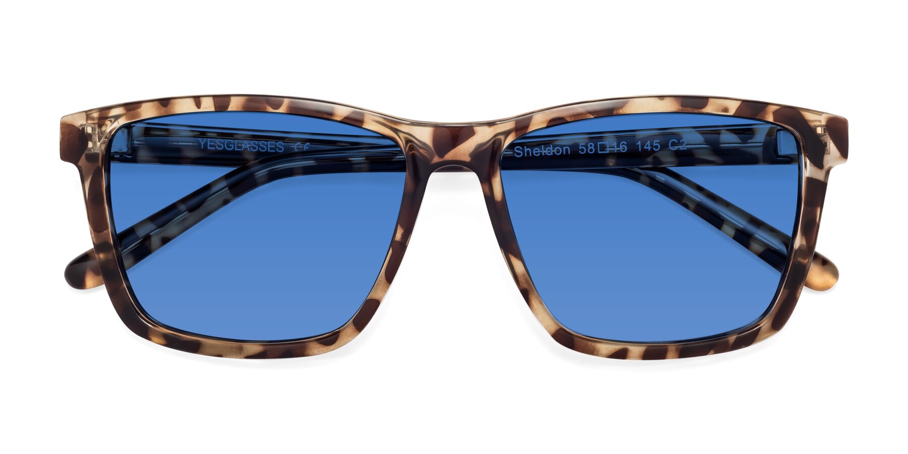 Folded Front of Sheldon in Tortoise with Blue Tinted Lenses