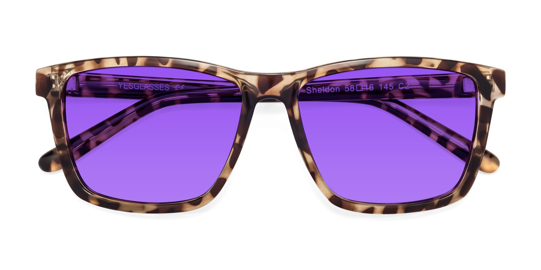 Folded Front of Sheldon in Tortoise with Purple Tinted Lenses