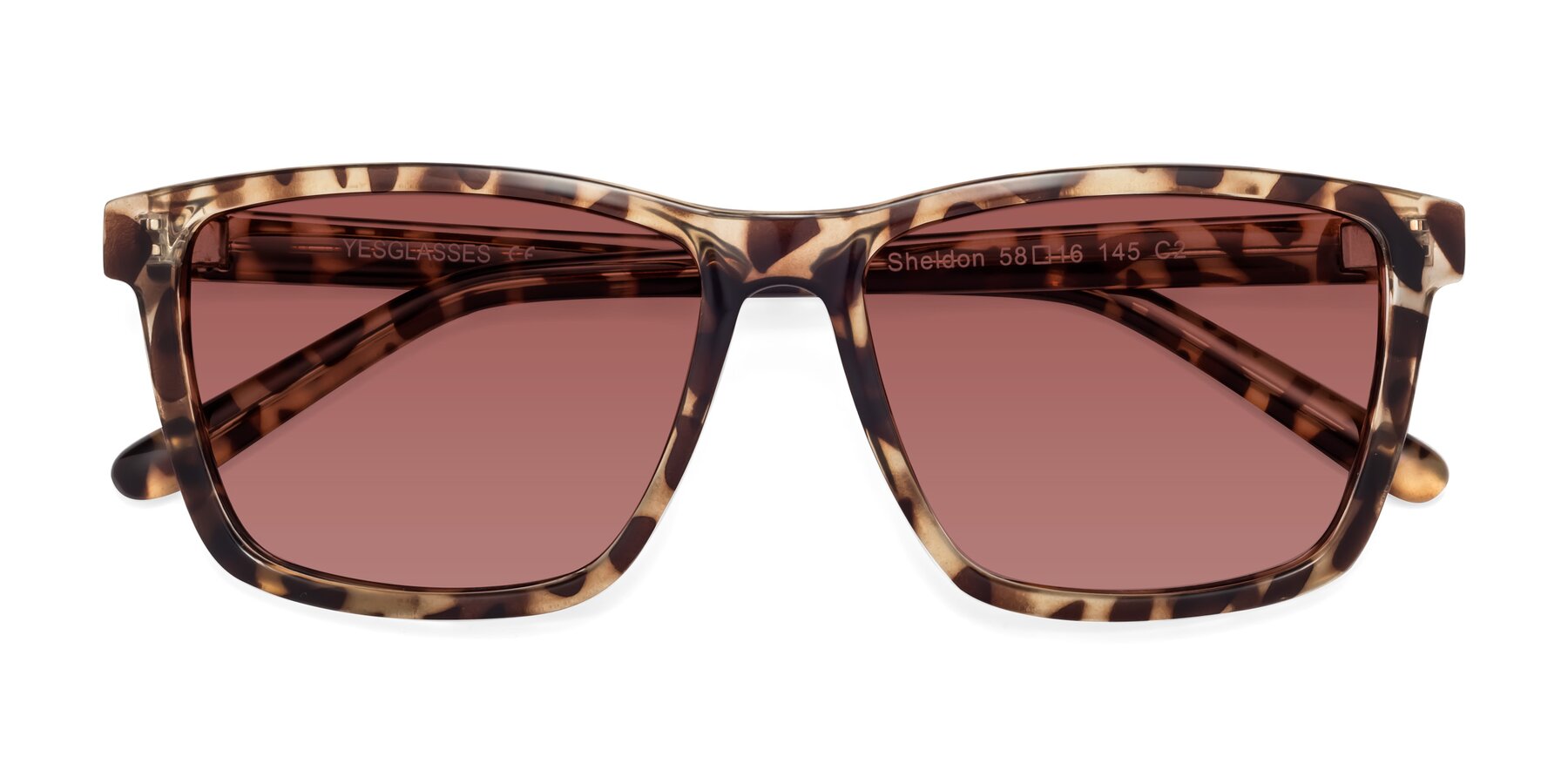 Folded Front of Sheldon in Tortoise with Garnet Tinted Lenses