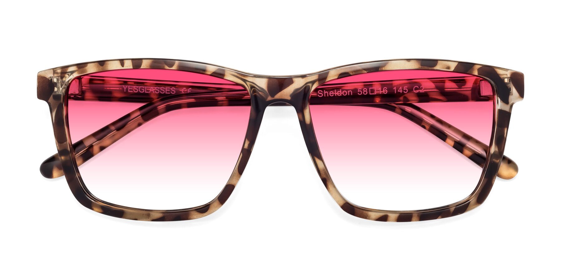 Folded Front of Sheldon in Tortoise with Pink Gradient Lenses