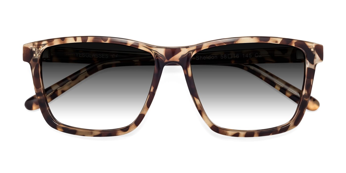 Sheldon - Tortoise Gradient Sunglasses