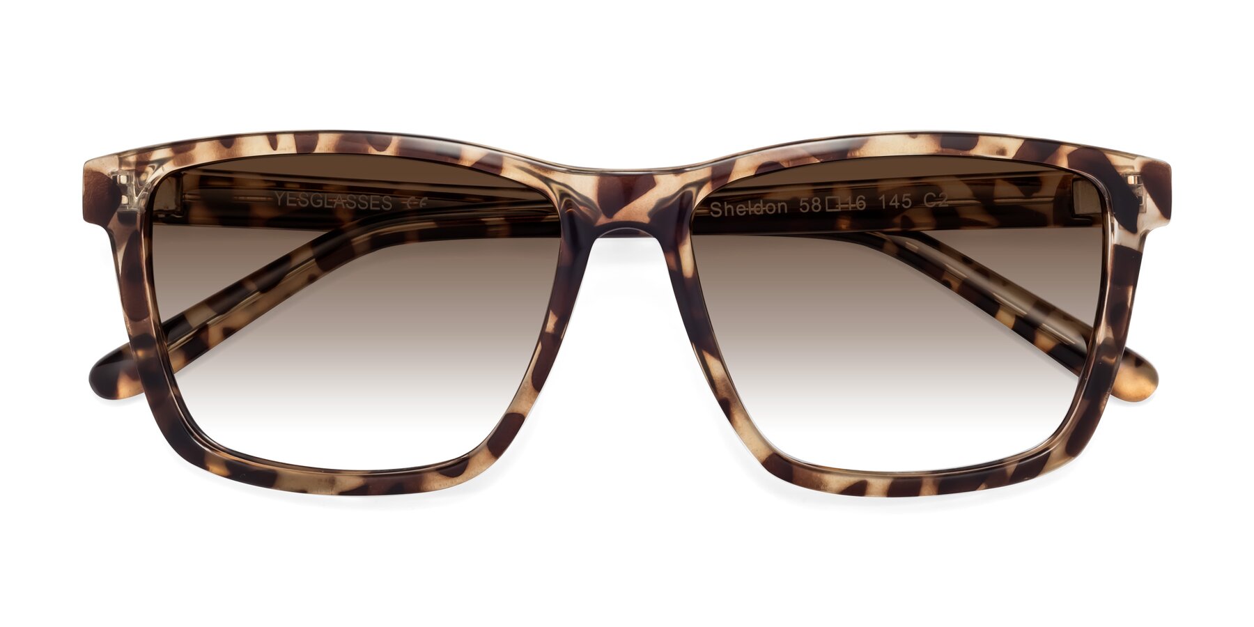 Folded Front of Sheldon in Tortoise with Brown Gradient Lenses