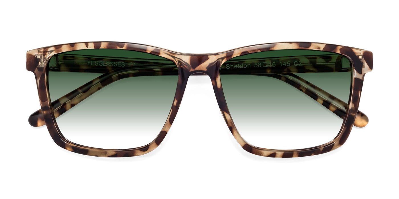 Sheldon - Tortoise Gradient Sunglasses