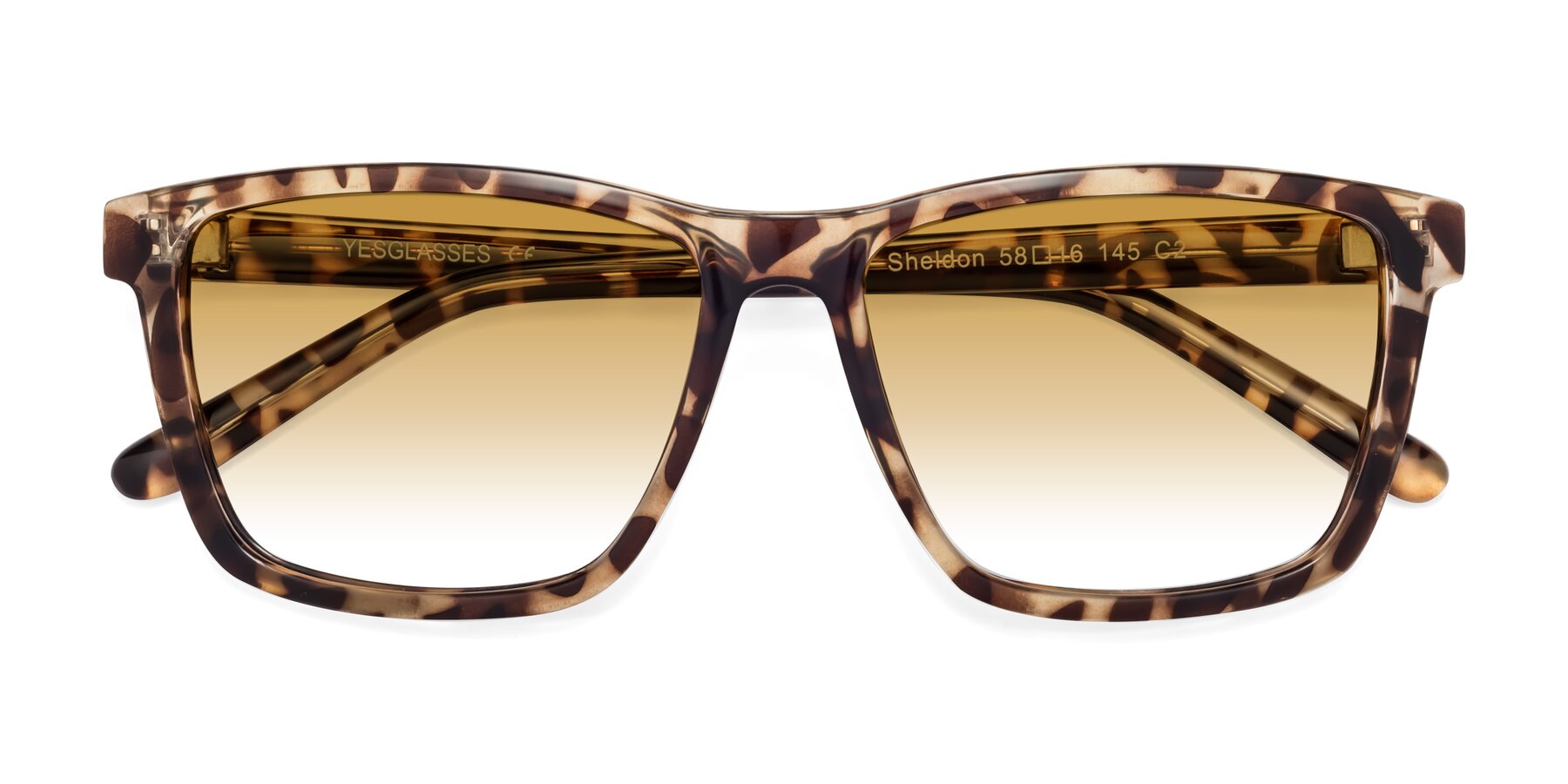 Folded Front of Sheldon in Tortoise with Champagne Gradient Lenses