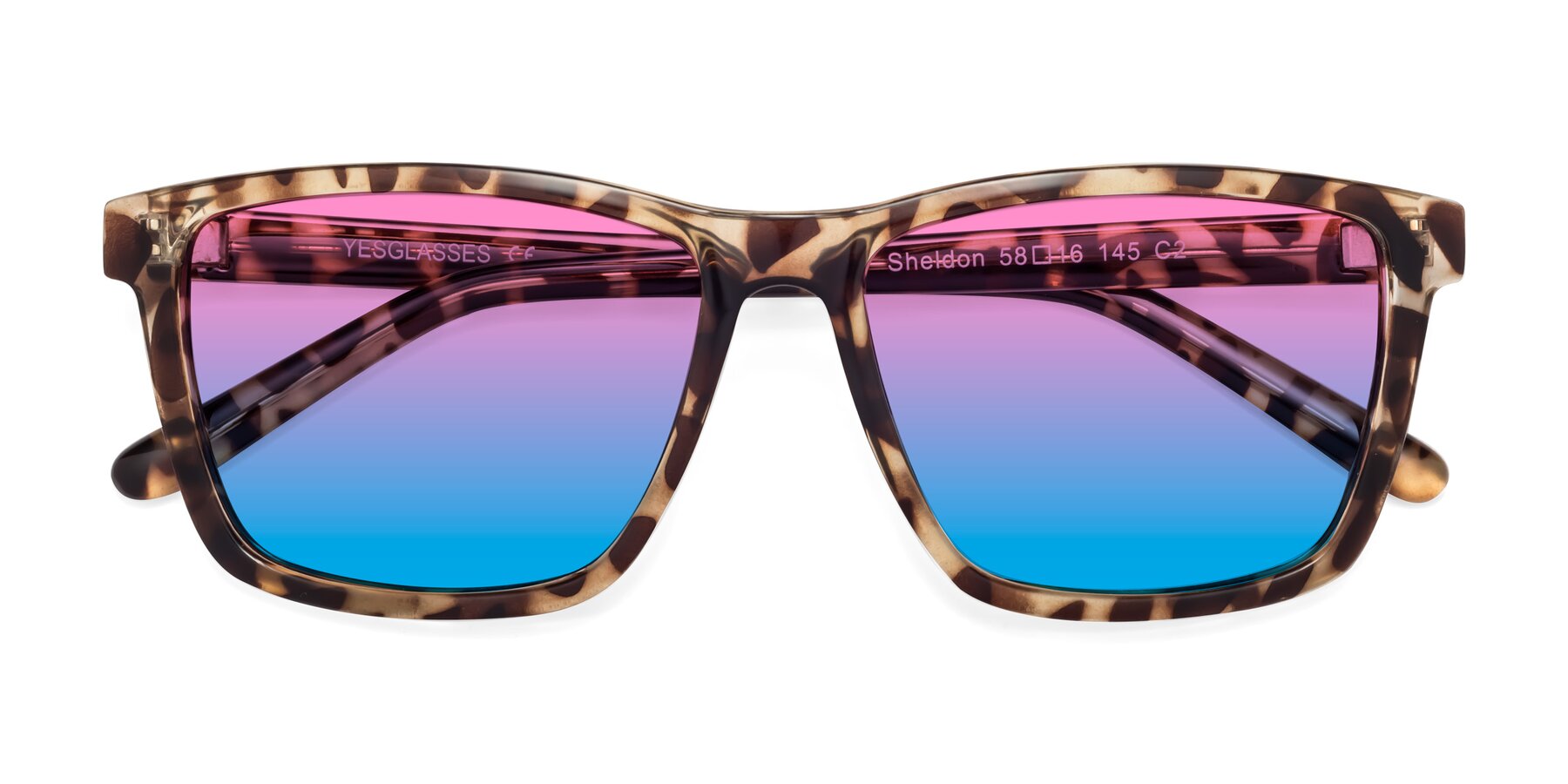 Folded Front of Sheldon in Tortoise with Pink / Blue Gradient Lenses