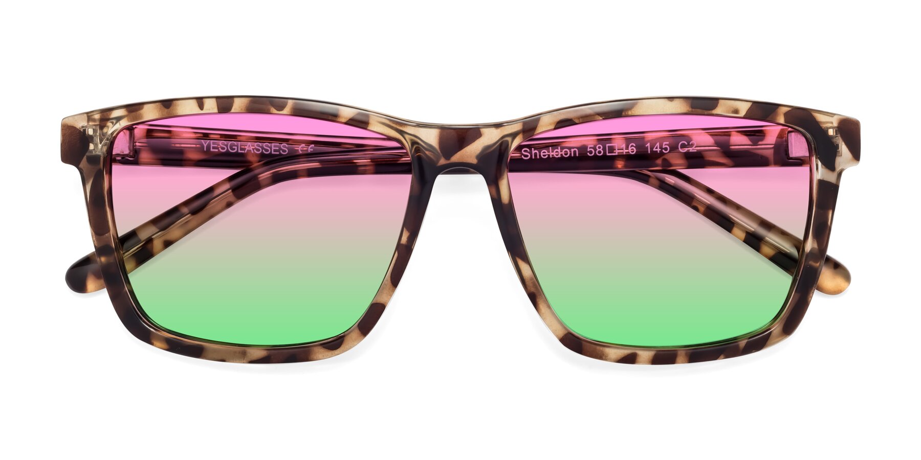 Folded Front of Sheldon in Tortoise with Pink / Green Gradient Lenses