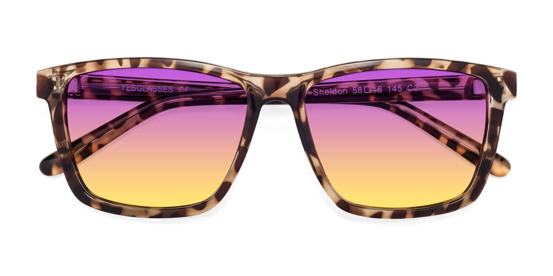 Folded Front of Sheldon in Tortoise with Purple / Yellow Gradient Lenses