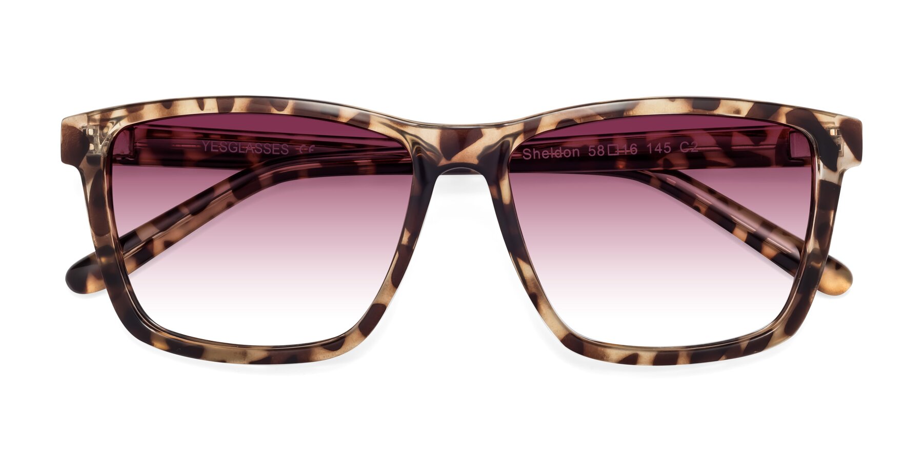 Folded Front of Sheldon in Tortoise with Wine Gradient Lenses