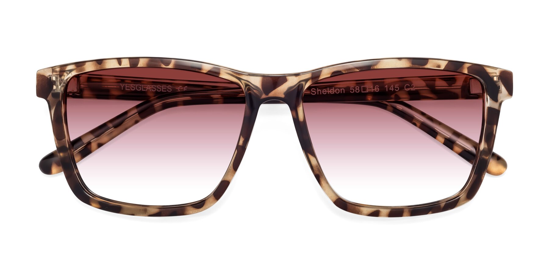 Folded Front of Sheldon in Tortoise with Garnet Gradient Lenses