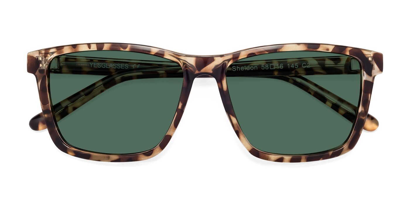 Sheldon - Tortoise Polarized Sunglasses
