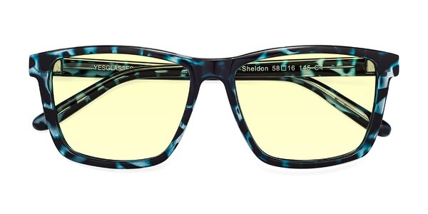 Front of Sheldon in Blue Tortoise