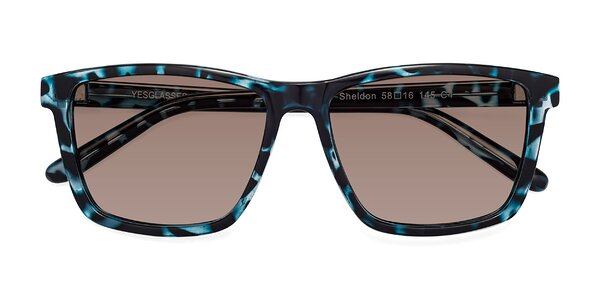 Front of Sheldon in Blue Tortoise