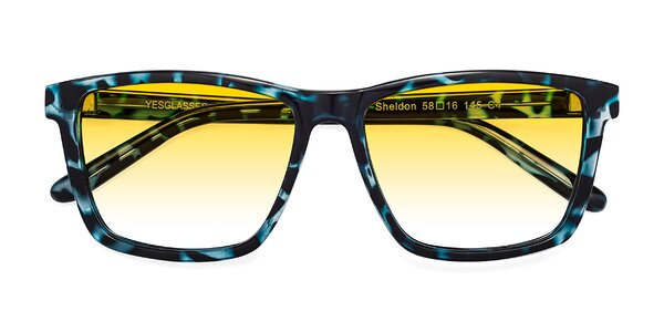 Front of Sheldon in Blue Tortoise