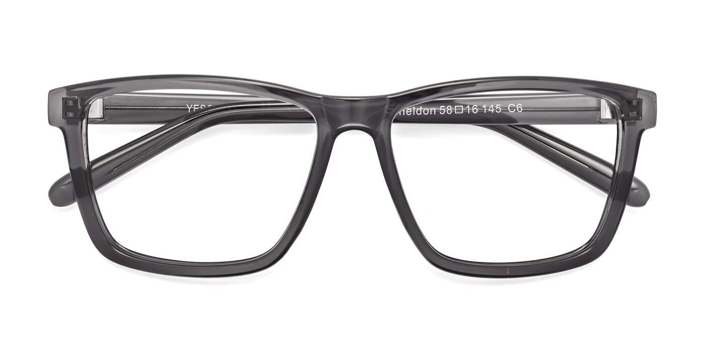 Sheldon - Transparent Gray Eyeglasses