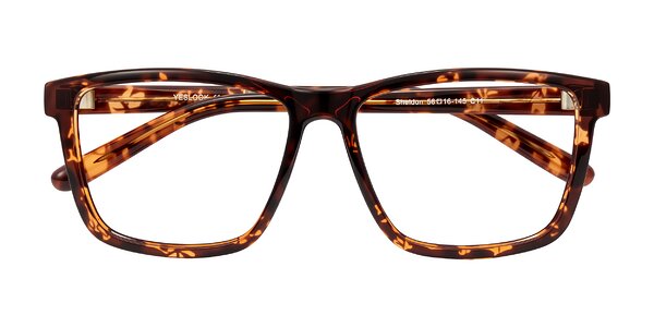 Front of Sheldon in Tortoise