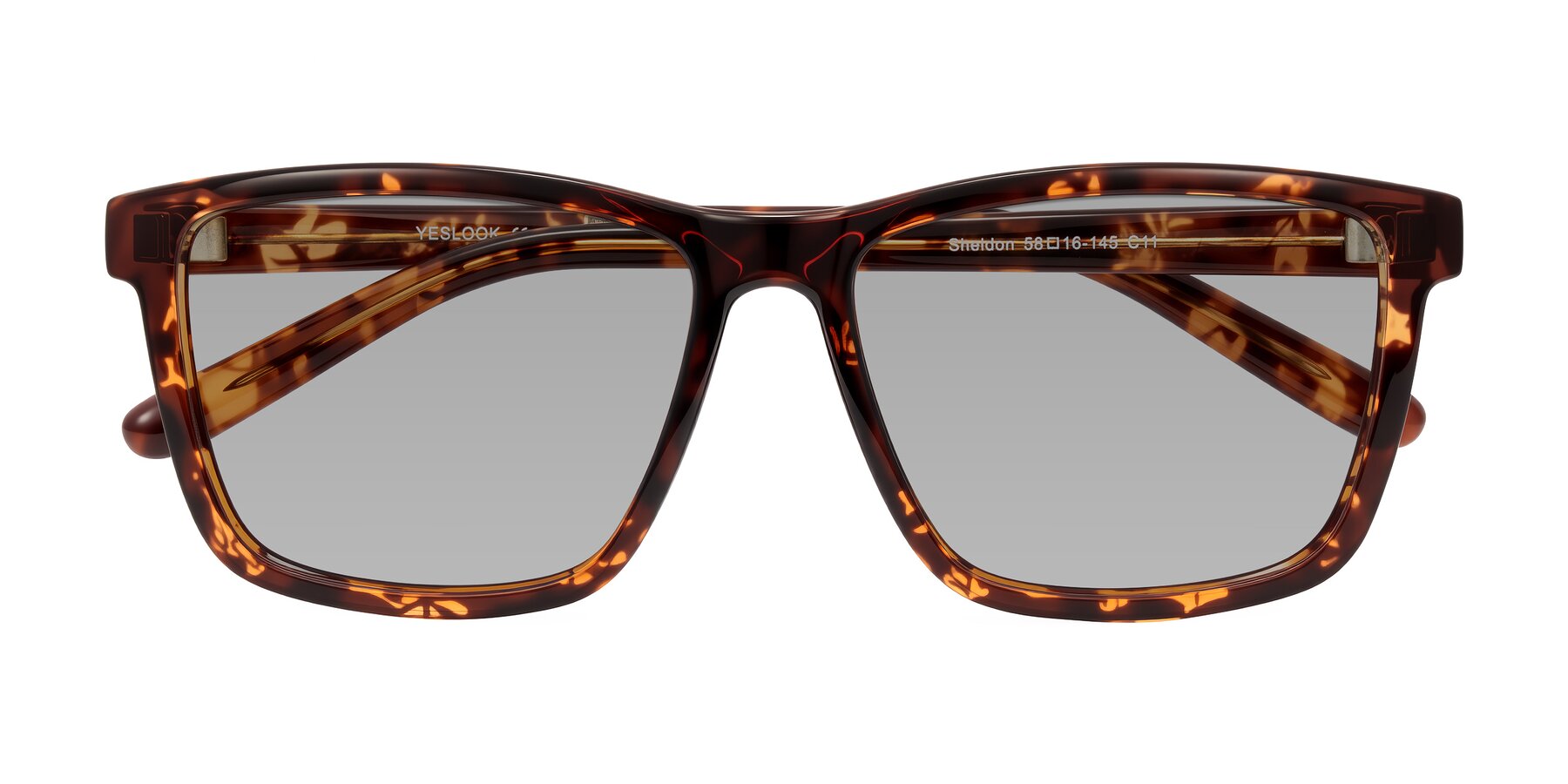 Folded Front of Sheldon in Tortoise with Light Gray Tinted Lenses