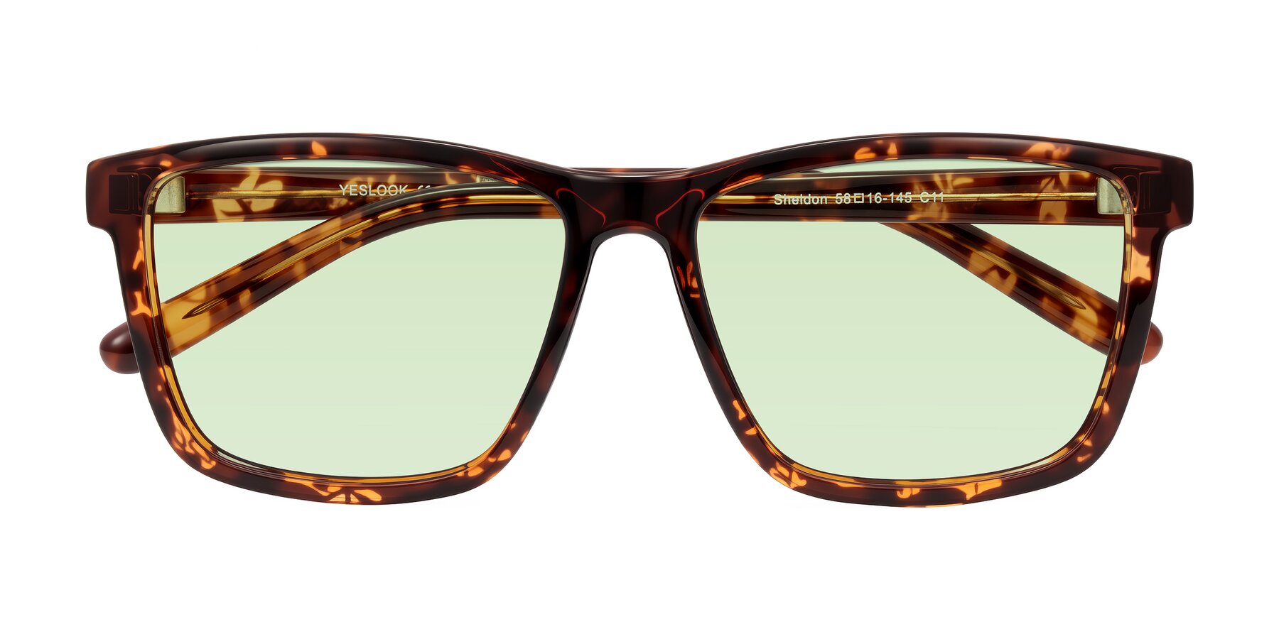 Folded Front of Sheldon in Tortoise with Light Green Tinted Lenses