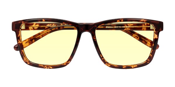 Front of Sheldon in Tortoise